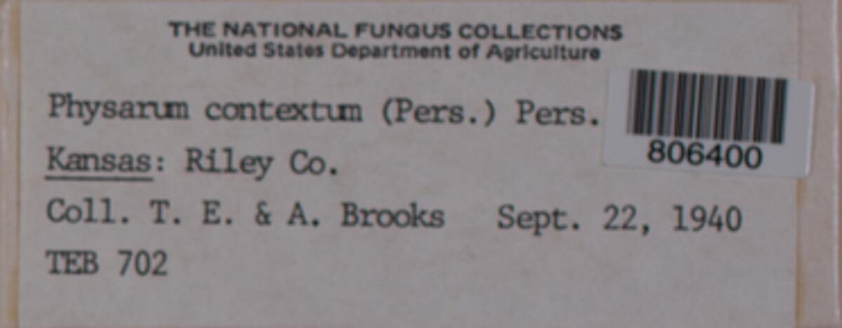 Physarum contextum image